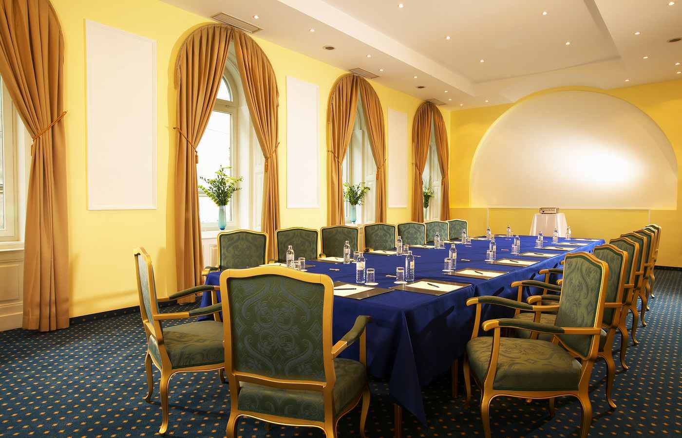 法国酒店 维也纳 商务 照片 The conference room